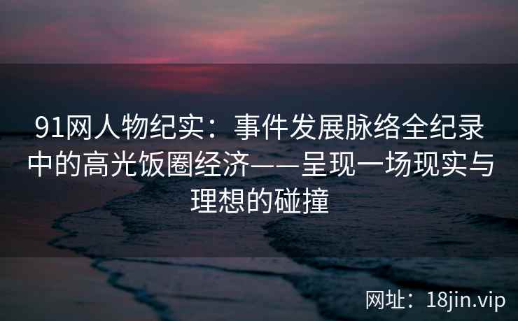 91网人物纪实：事件发展脉络全纪录中的高光饭圈经济——呈现一场现实与理想的碰撞