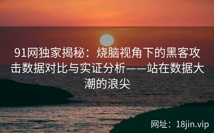 91网独家揭秘:烧脑视角下的黑客攻击数据对比与实证分析——站在数据大潮的浪尖