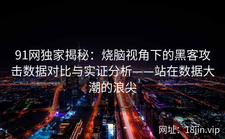 91网独家揭秘:烧脑视角下的黑客攻击数据对比与实证分析——站在数据大潮的浪尖