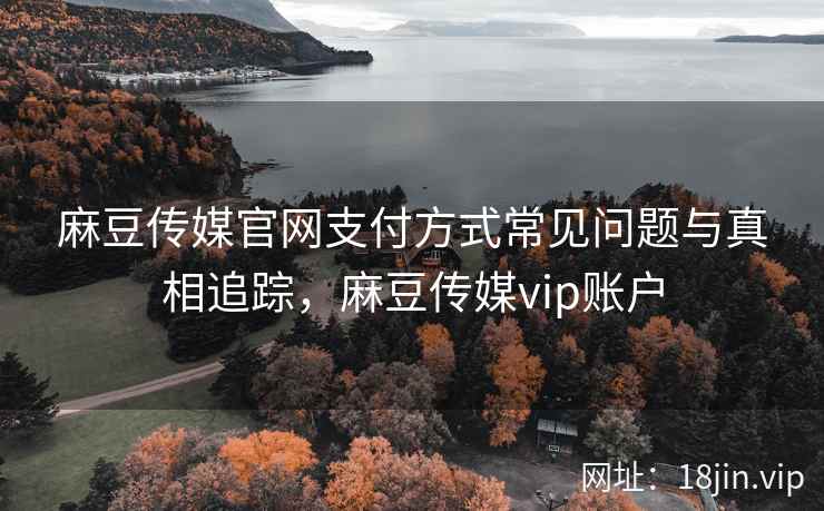 麻豆传媒官网支付方式常见问题与真相追踪,麻豆传媒vip账户