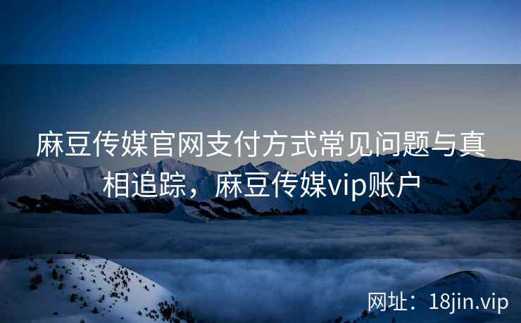 麻豆传媒官网支付方式常见问题与真相追踪,麻豆传媒vip账户