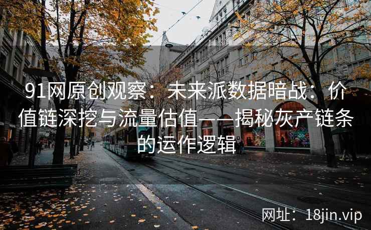 91网原创观察：未来派数据暗战：价值链深挖与流量估值——揭秘灰产链条的运作逻辑