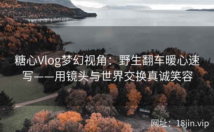 糖心Vlog梦幻视角：野生翻车暖心速写——用镜头与世界交换真诚笑容