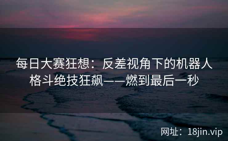每日大赛狂想：反差视角下的机器人格斗绝技狂飙——燃到最后一秒