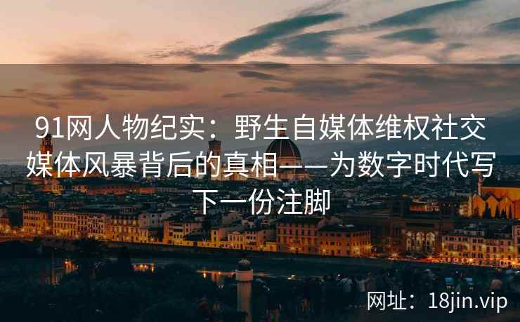 91网人物纪实：野生自媒体维权社交媒体风暴背后的真相——为数字时代写下一份注脚