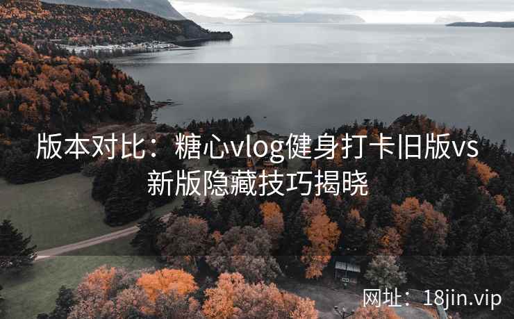 版本对比:糖心vlog健身打卡旧版vs新版隐藏技巧揭晓